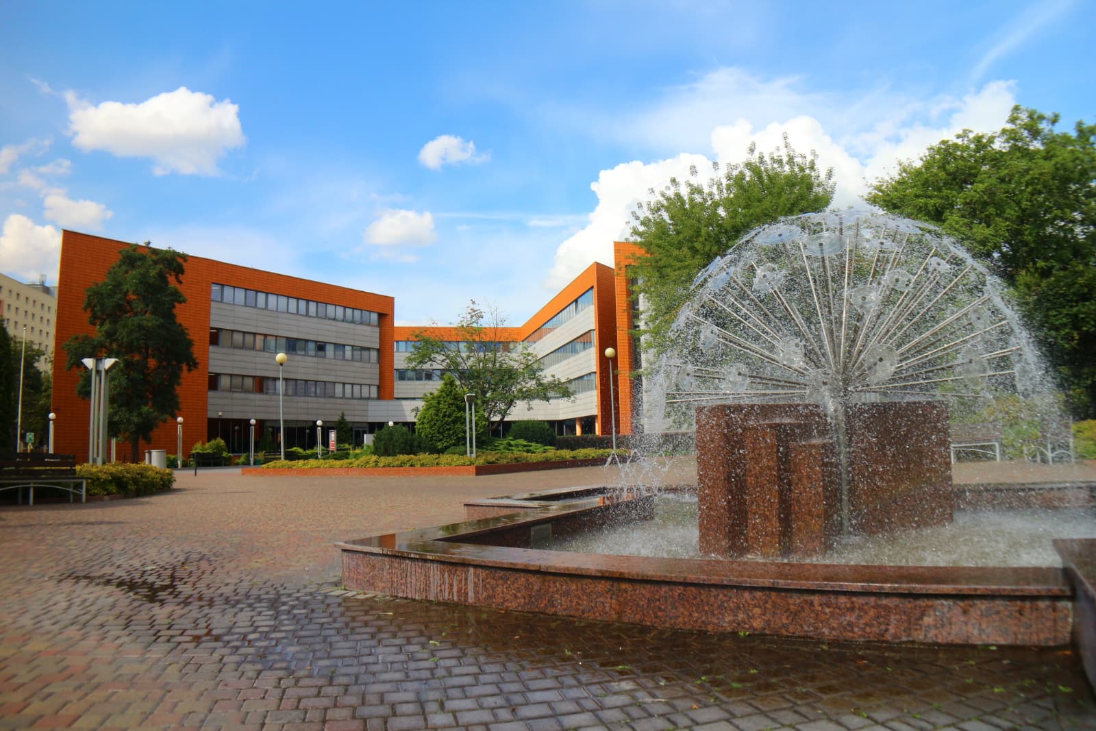 University of Łódź | Faculty of Management